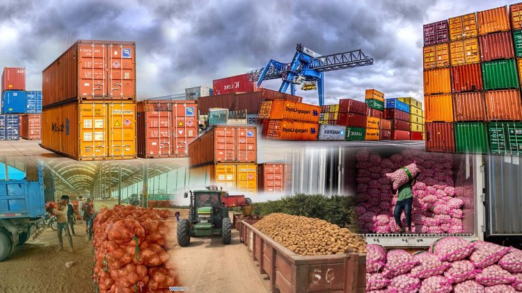 Xuất Khẩu Nông Sản Và Các Bước Cần Chuẩn Bị